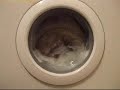 Sudsy parts of towels wash