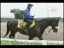 [トレセンTIME] 080703 マイネルシーガル 「米子ステークス」前コメント
