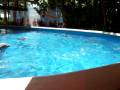 videos de Dolphins @ Sea World 2