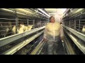 JS West Enriched Colony Barn - Good Egg Project - Webisode 2