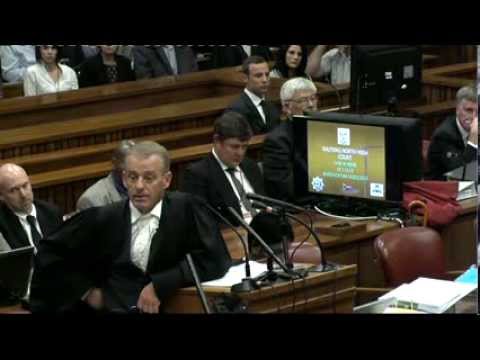 Oscar Pistorius Trial: Friday 7 March 2014, Session 4