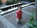 Caminando Caminando