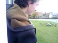 videos de Hop ud af vinduet!