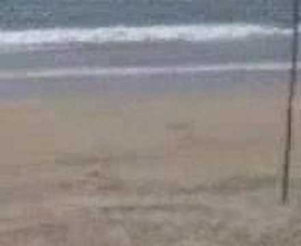 paradiseChris Holland palolem beach