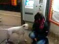 Laura vs m�dchen