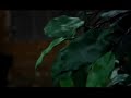NC17z: DVX100b DOF Test 24P