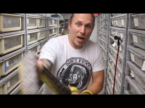 YouTube reptile video