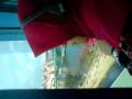 videos de Our ride on the Singapore Flyer.MP4