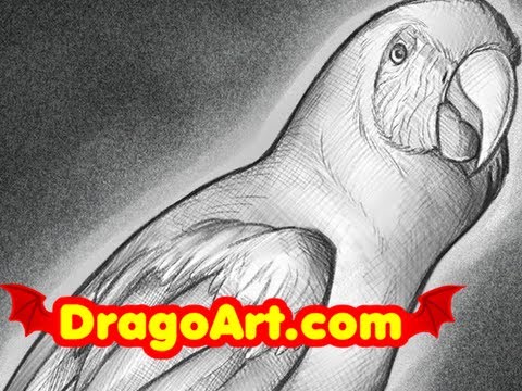 how to draw ns diagram