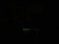 VID - Crazy Dream.AVI