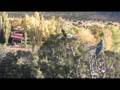 Flocking Macaws & Sun Conures