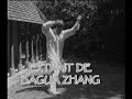 courte s�quence de bagua zhang effectu�e par ma�tre liang chao qun, disciple de ma�tre wan laisheng. association wan laisheng france.