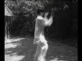courte s�quence de bagua zhang effectu�e par ma�tre liang chao qun, disciple de ma�tre wan laisheng. association wan laisheng france.