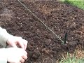 Planting onions & carrots - Claire\ Planting onions & carrots - Claire\