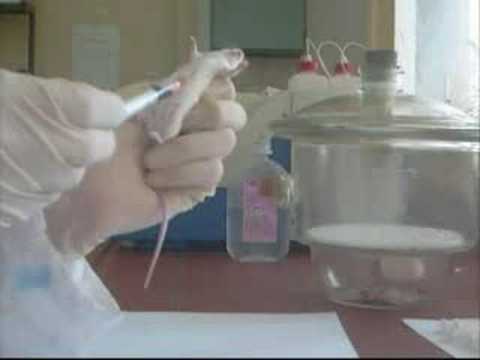 how to dissolve diazepam