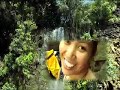 hawaiian-honeymoon.html