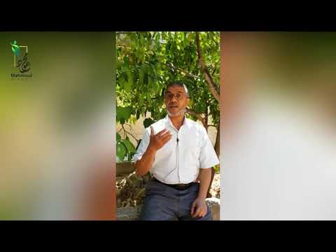 أ. رياض زيد - العراق