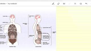 Video review LectureNotes - 2.3.1