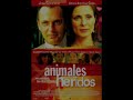 Carles Cases: Animales Heridos, recording sessions