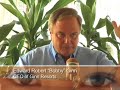 Bobby Ginn: loan default & Grand Bahama Update Aug. 2008