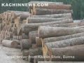 Illegal Timber from Kachin State in China