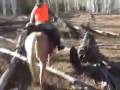 videos de JNDS INVESTIN A DREAM - AQHA APHA All Around Palomino Gelding - Part 3 of 3