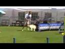 Coupe de Belgique 08: Serge Mallants