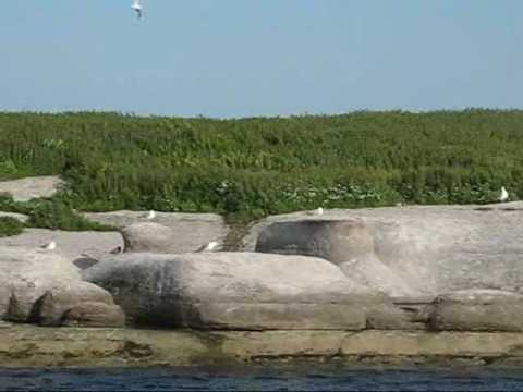 Archipel de Mingan Pique nique à lîle aux goélands YouTube voorvertoningsafbeelding