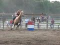 Emily Bagley barrel racing 2
