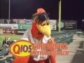 Delmarva Shorebirds "Airhorn"