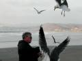 videos de SEAGULL KISS.AVI