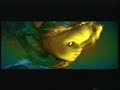 Liver by The Hitchers