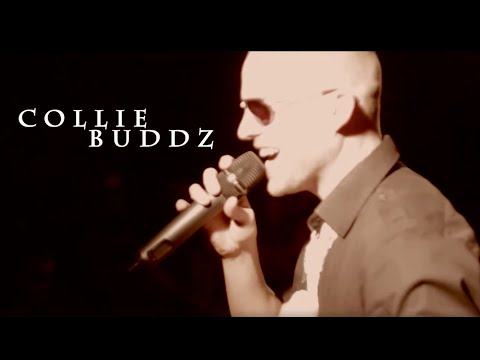 collie buddz
