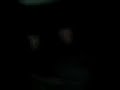 dj charlie c+steve's privite rave