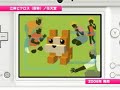 Nintendo DSi Montage