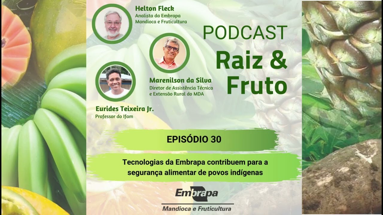 Podcast Raiz & Fruto-Tecnologias da Embrapa contribuem para a segurança alimentar de povos indígenas