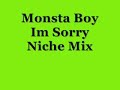 Monsta Boy Im Sorry NIche Mix