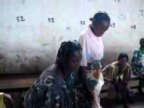 Bangui Fish Market