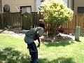 Trying To Catch A Squirrel