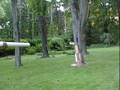 Potato Gun Shooting Range