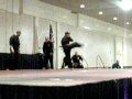 Karate Demo