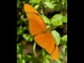 Macro Photography