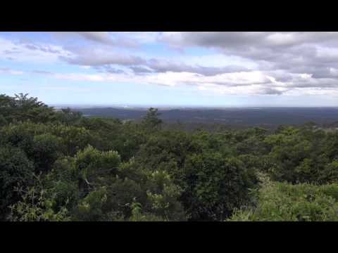 Sunshine Coast for kids