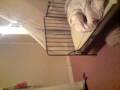 videos de Stairs Accident (rhianna n jazz)
