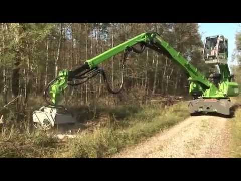 how to harvest timber in wood
