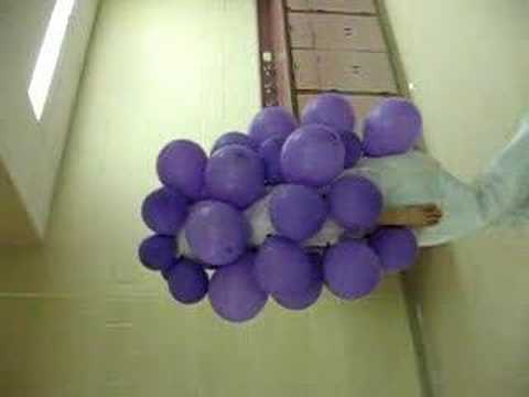 Staphylococcus Dances