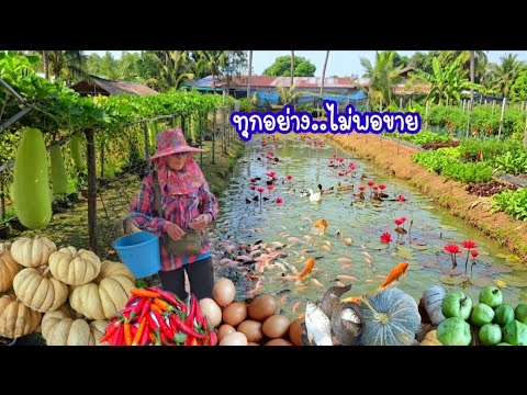 ทำแบบนี้??..จะเกิดสงครามอีก10ปีก็ไม่เดือดร้อน