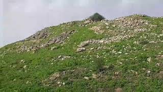 قرية سمسم المدمرة في الجنوب الفلسطيني قضاء غزة.... تصوير تحيات قيس فحماوي - Simism- Gaza,