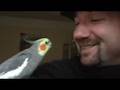 Crash Test Dummies - How does a Duck Know By Jon Jon Monkey