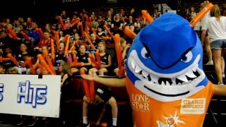 VIDEO - Shark Tank Crowd Week 1 v Giants